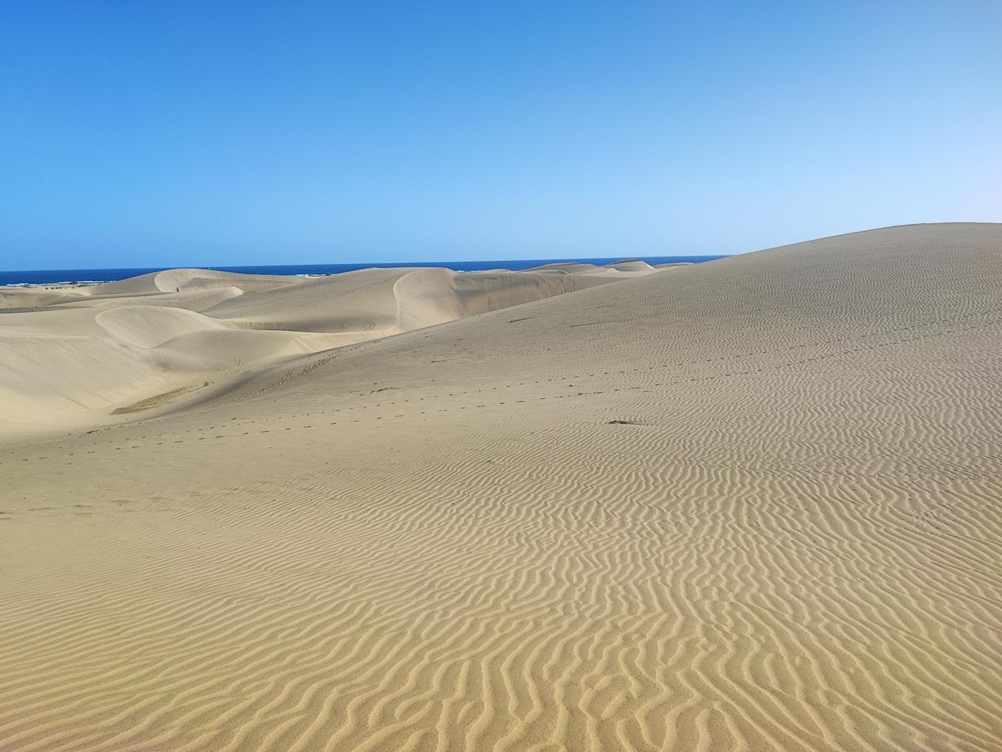 Piso Paraíso vicino al mare Maspalomas (Gran Canaria) Exterior foto